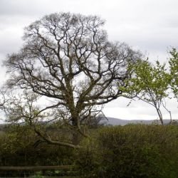 28401 437223226152 5746372 n 437223226152