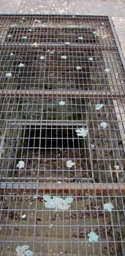 28401 437223306152 5194484 n 437223306152